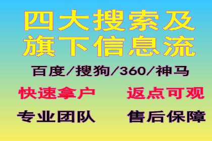 成功SEM托管案例：流量与转化双赢