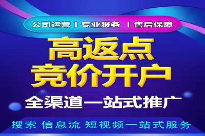 深度剖析：百度竞价推广代运营在某电商平台的成功实践